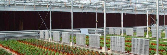 玻璃溫室的應用